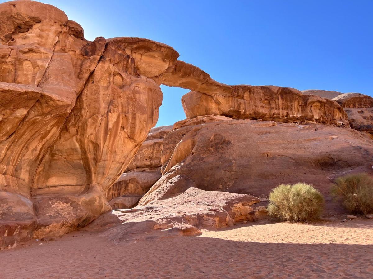 Wadi Rum Tents Eksteriør billede